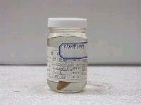 藏品(擬三棘魨)的圖片